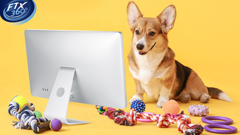 Best Marketing Strategies for Pet Companies