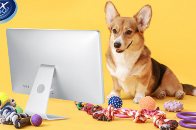 Best Marketing Strategies for Pet Companies