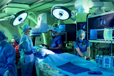 Electrophysiology Market: Top Trends Boosting the Company Demand Through 2029