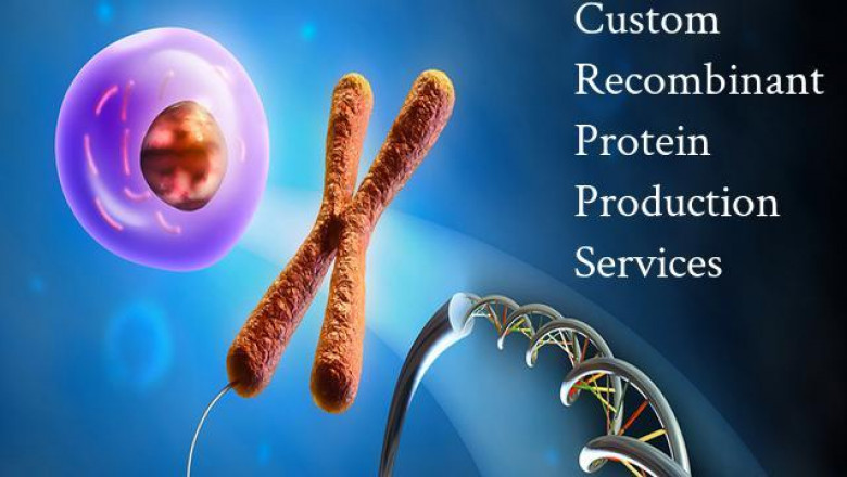 Custom Recombinant Protein Production Services Market - Size, Share, Outlook, and Opportunity Analysis, 2018 – 2026