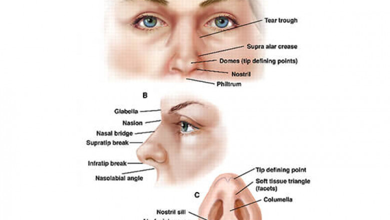 Does Rhinoplasty Affect Breathing?