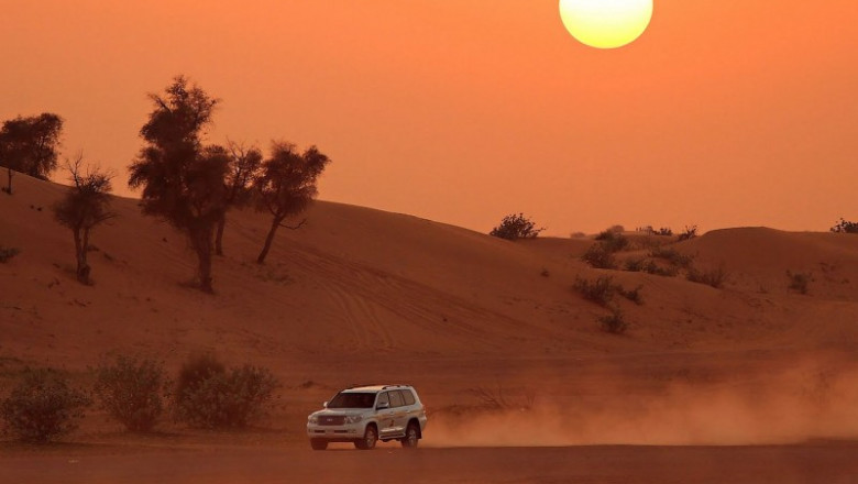 EVENING DESERT SAFARI | Safari Adventures Fun