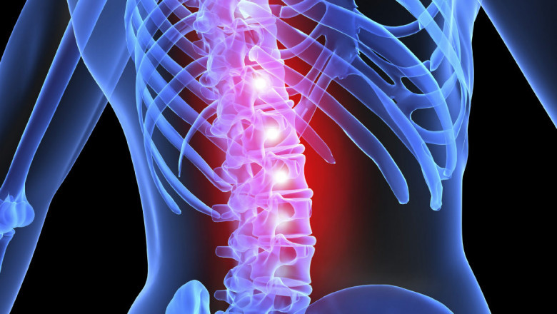 Spine Biologics Market Report 2021-26: Industry Trends, Size, Share, Analysis And Forecast
