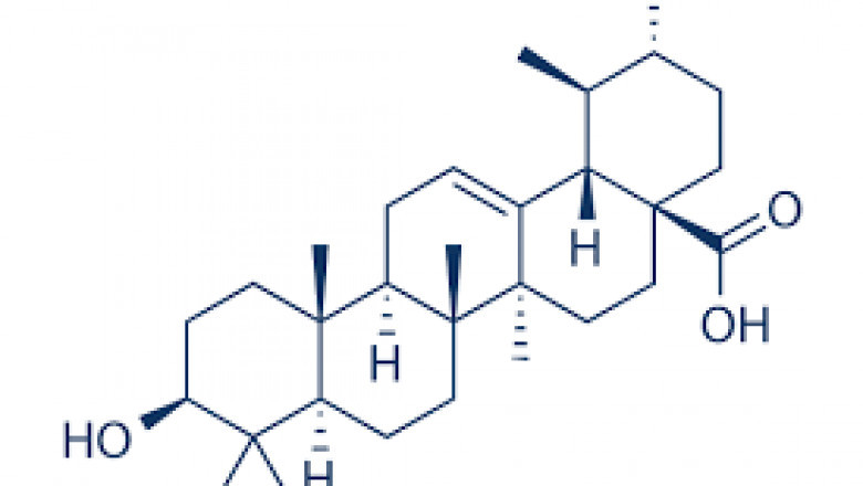 Ursolic Acid Market Shares, Strategies and Forecast Worldwide, 2020 to 2030