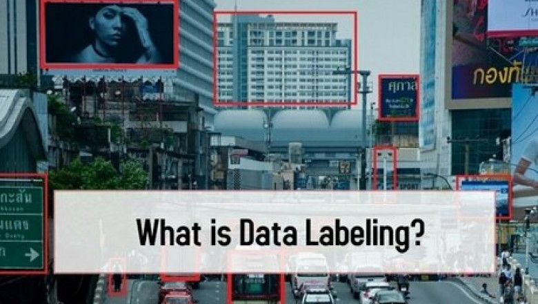 What is Data Labeling?: Apex Solutions Limited