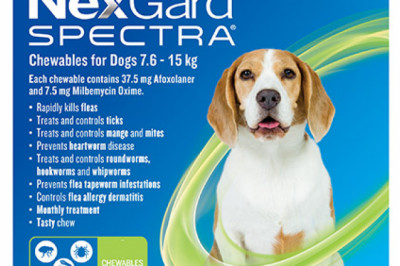 Buy Nexgard Spectra For Medium Dogs 7.6 - 15Kg 6 Pack