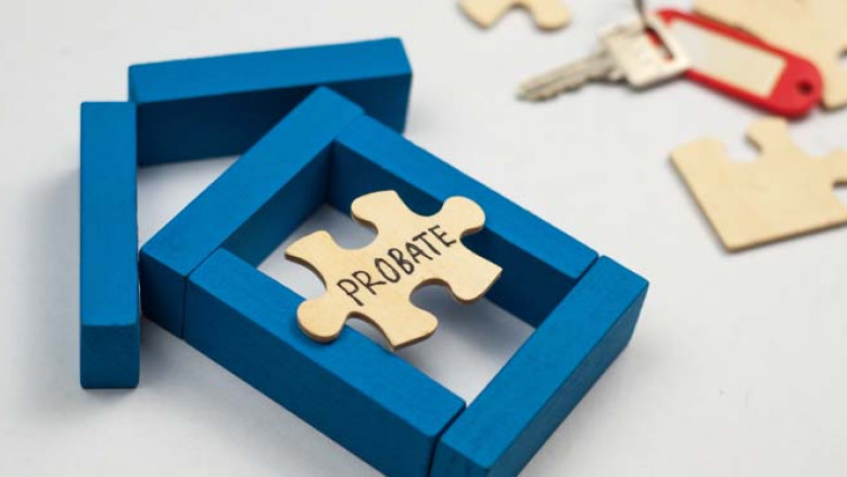 Michigan Probate Process