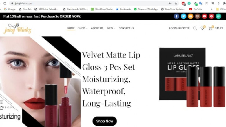 Wordpress Website fully responsive