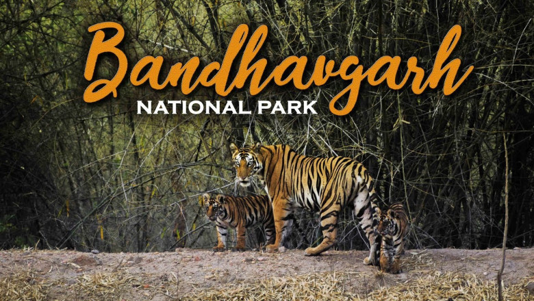 Bandhavgarh National Park Tour Packages