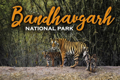 Bandhavgarh National Park Tour Packages