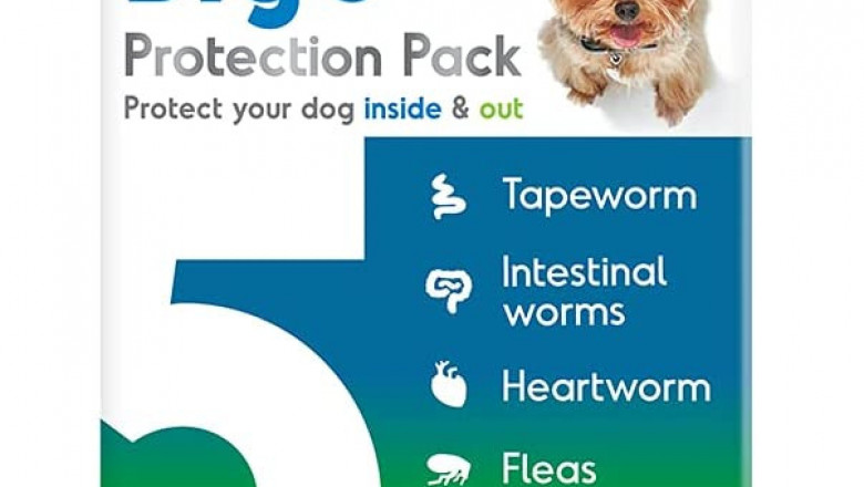 BIG 5 Protection Pack for X-Small Dogs 2.5kg - 4.0kg