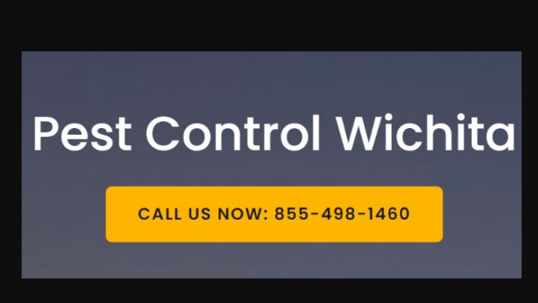 What Are the Diverse Kinds of Pest Control?