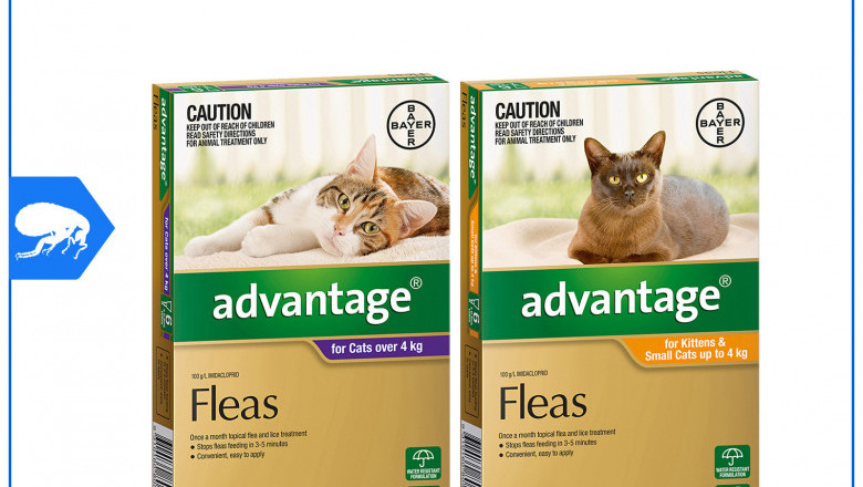 ADVANTAGE for Cats 6 Pipettes Cat Flea Prevention
