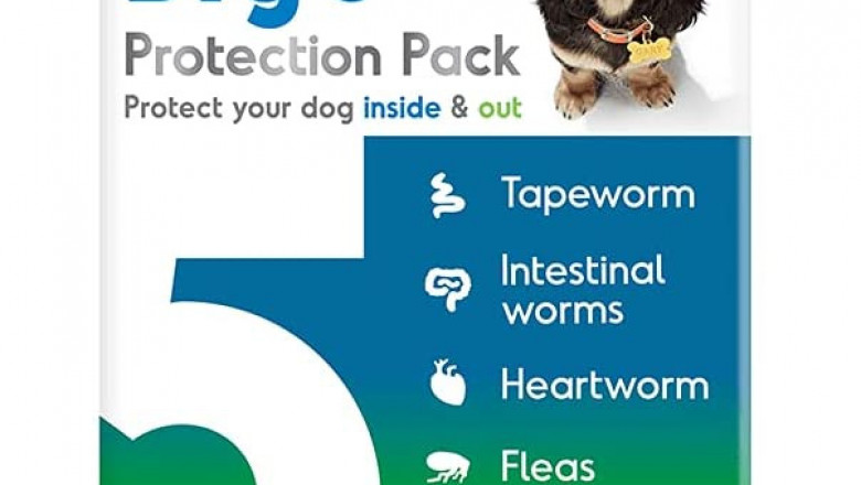 BIG 5 Protection Pack for Small Dogs 4.0kg - 5.5kg