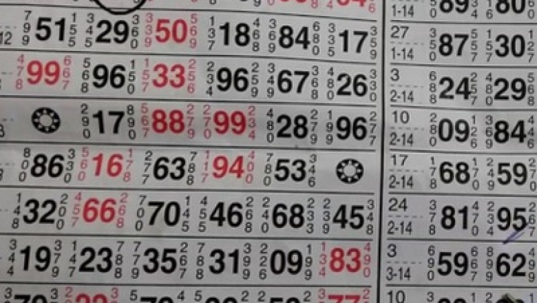 How to Check Satta King Online Result | Matka Result 2021
