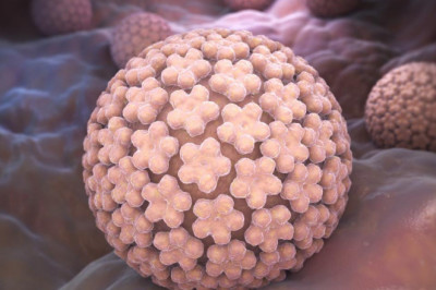 If Warts Aren't Causing Discomfort, You Might Not Need Genital Warts Treatment.