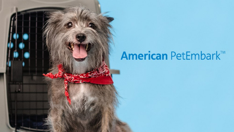 American Airlines Cargo offers new resources for animal shippers