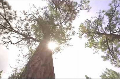 Beck Mountain Properties LLC