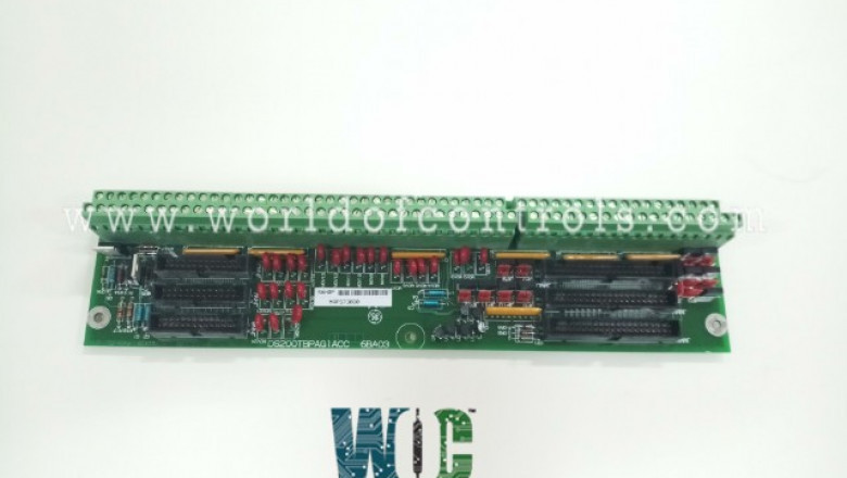 DS200TBPAG1ACC - PLU TERMINATION BD