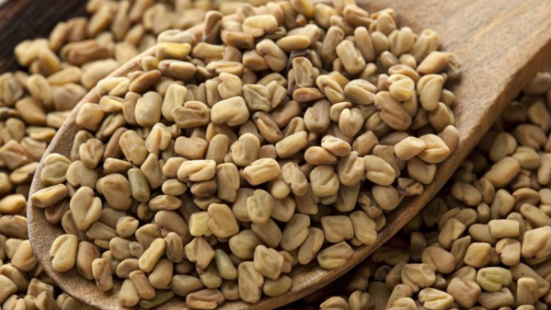 In-depth Analysis on Fenugreek Seed Market 2021 Focusing on key Players like Alfrebro, Arjuna Natural Extracts, Naturalin Bio-Resources Co