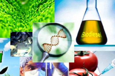 Innovative Report Food Biotechnology Market 2021 Focusing on Industry Growth and Emerging Trends with Key Vendors like ABS Global, Monsanto