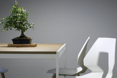 Reason to choose solid timber furniture