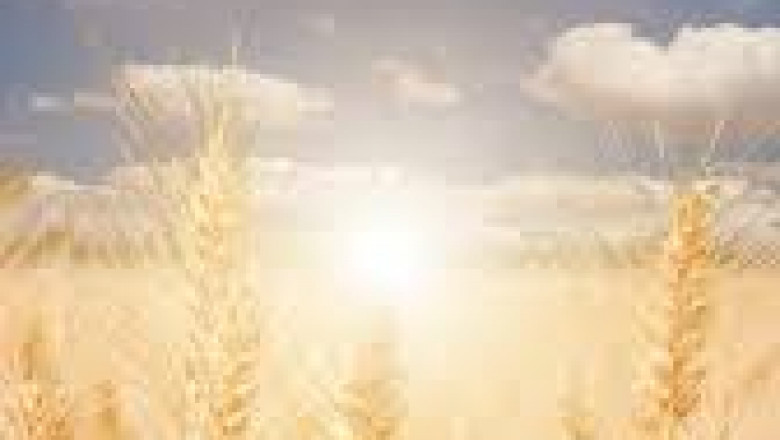 UV Absorbers Market to witness remarkable growth by 2027