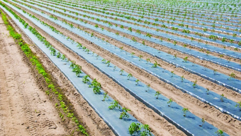 Agricultural Films Market Report 2021 | Industry Growth, Share, Size, Demand Market Analysis 2026
