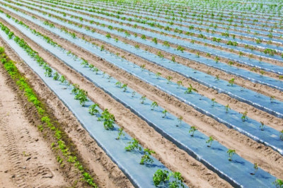 Agricultural Films Market Report 2021 | Industry Growth, Share, Size, Demand Market Analysis 2026