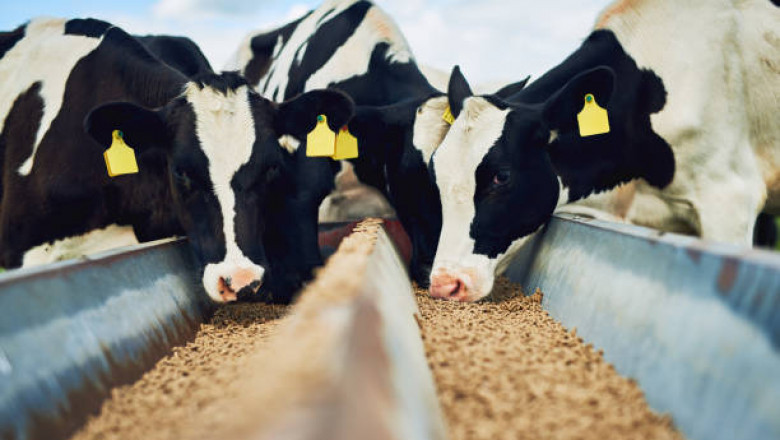 Global Animal Feed Micronutrient Market Is Projected to Grow at an Exponential Rate over 2021 to 2027