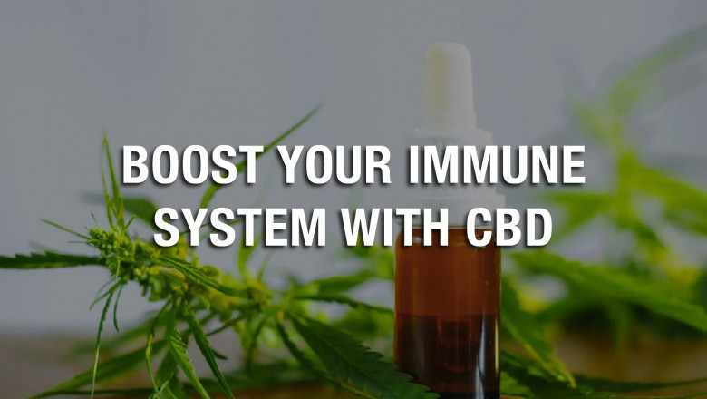 Immune Boost CBD in Florida