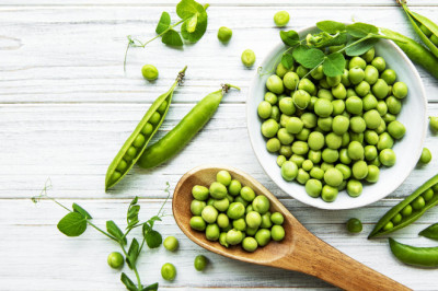 In-depth Analysis on Pea Protein Market 2021 Focusing on key Players like Dupont, Nutri-Pea Ltd.