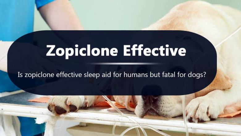 Is the use of Zopiclone for dogs fatal but effective for human sleep issues?