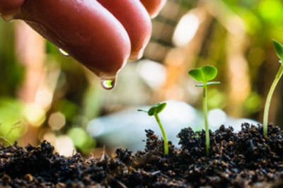 New Approach of Biostimulants Market 2021: To Business Applications with Top Key Players like BASF SE, Italpollina SAP