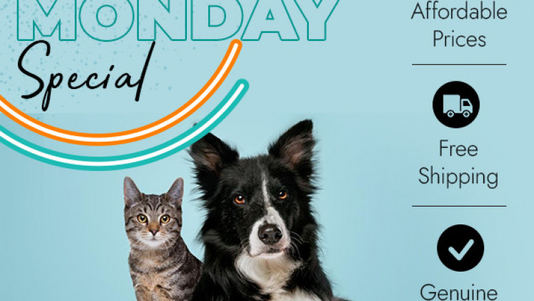 On this Cyber Monday Bargainpetproducts has great deals on all pet products.