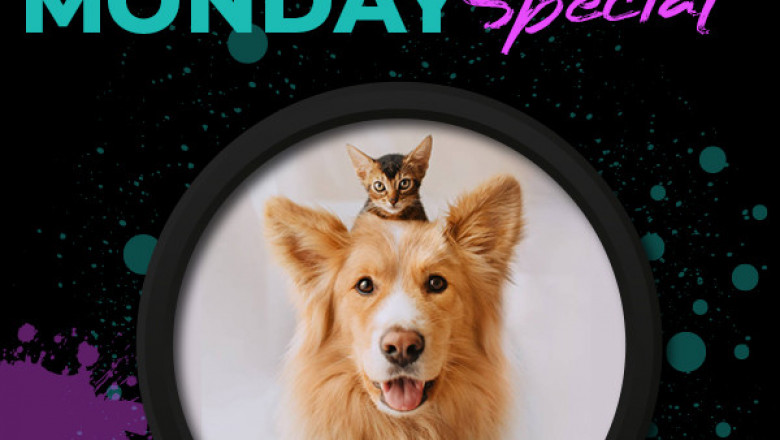 PetLoversAu offers the best Cyber Monday Deals for Pet Parents on all pet products.