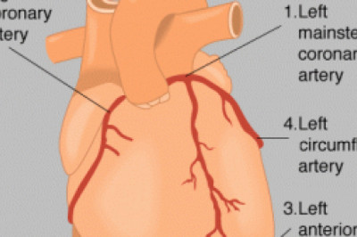 What Are Cardiac Problems? Treatments and Surgery Options