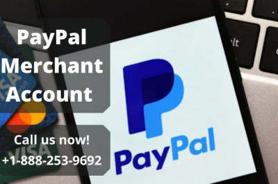 Learn About PayPal Merchant Account