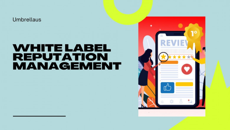 Great Lucky deals option White label review generation services with Umbrella