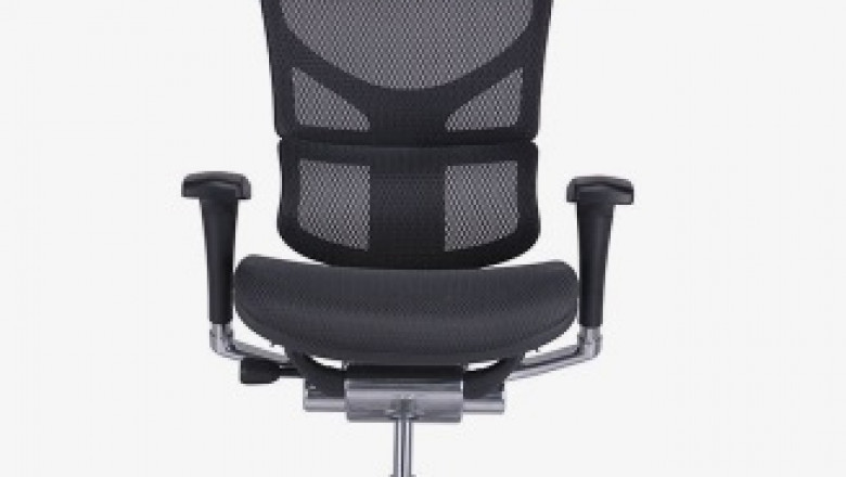 The Ergonomic Executive Chair