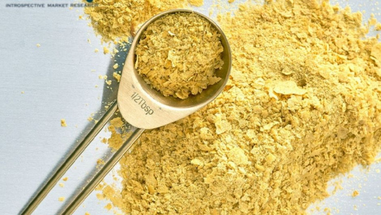 Huge Opportunities in Yeast Extract Market 2021: Focus on Advance Technology, Future Plans and Major Players like Angel East, DSM, AB Mauri, Lesaffre Group,