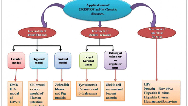 Monogenetic disease therapy Market by Business Development, Innovation and Top Companies Forecast 2021-2028