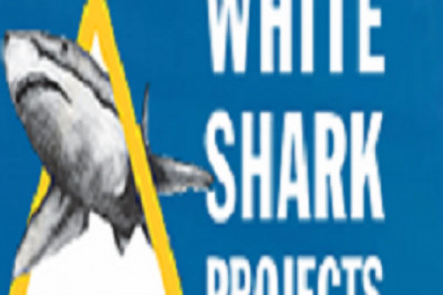 Shark Diving for disabled