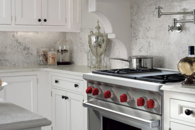 Wolf Top Choice Appliance Repair Roswell
