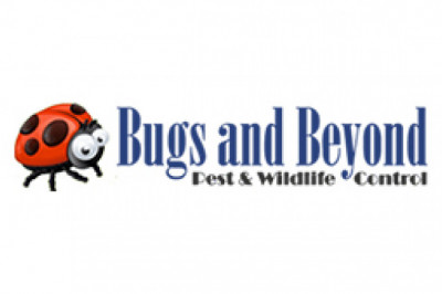 Bugs and Beyond Pest & Wildlife Control