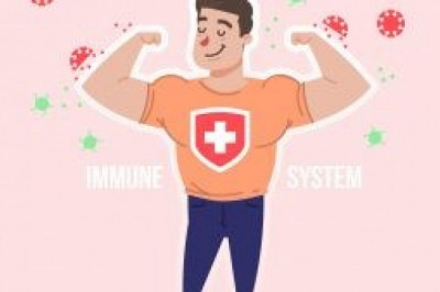 Immune System Rabbit Article