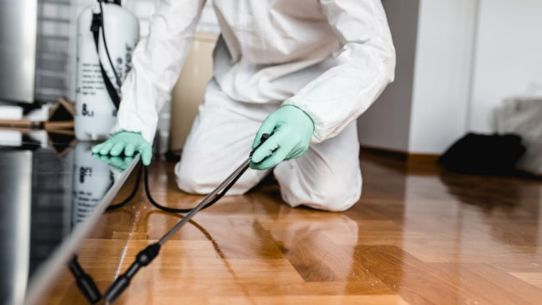 Natural Garden Pest Control is Cheap and Effective