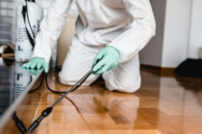 Natural Garden Pest Control is Cheap and Effective