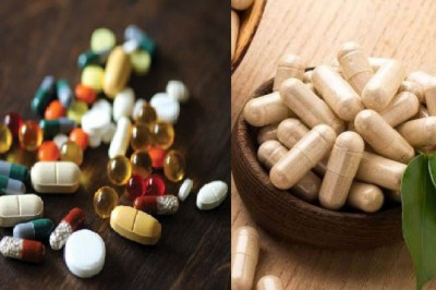Nutraceutical Excipients Market Industry Demand on Rise Trends, Size Estimation, Gross Margin, Sales, Industry Latest News, Analysis to Forecast to 2027