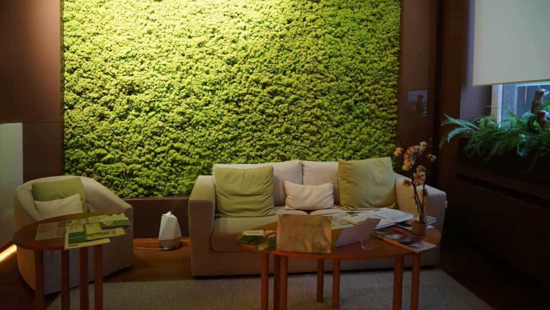 Purchasing Moss Walls Can Be A Great Choice